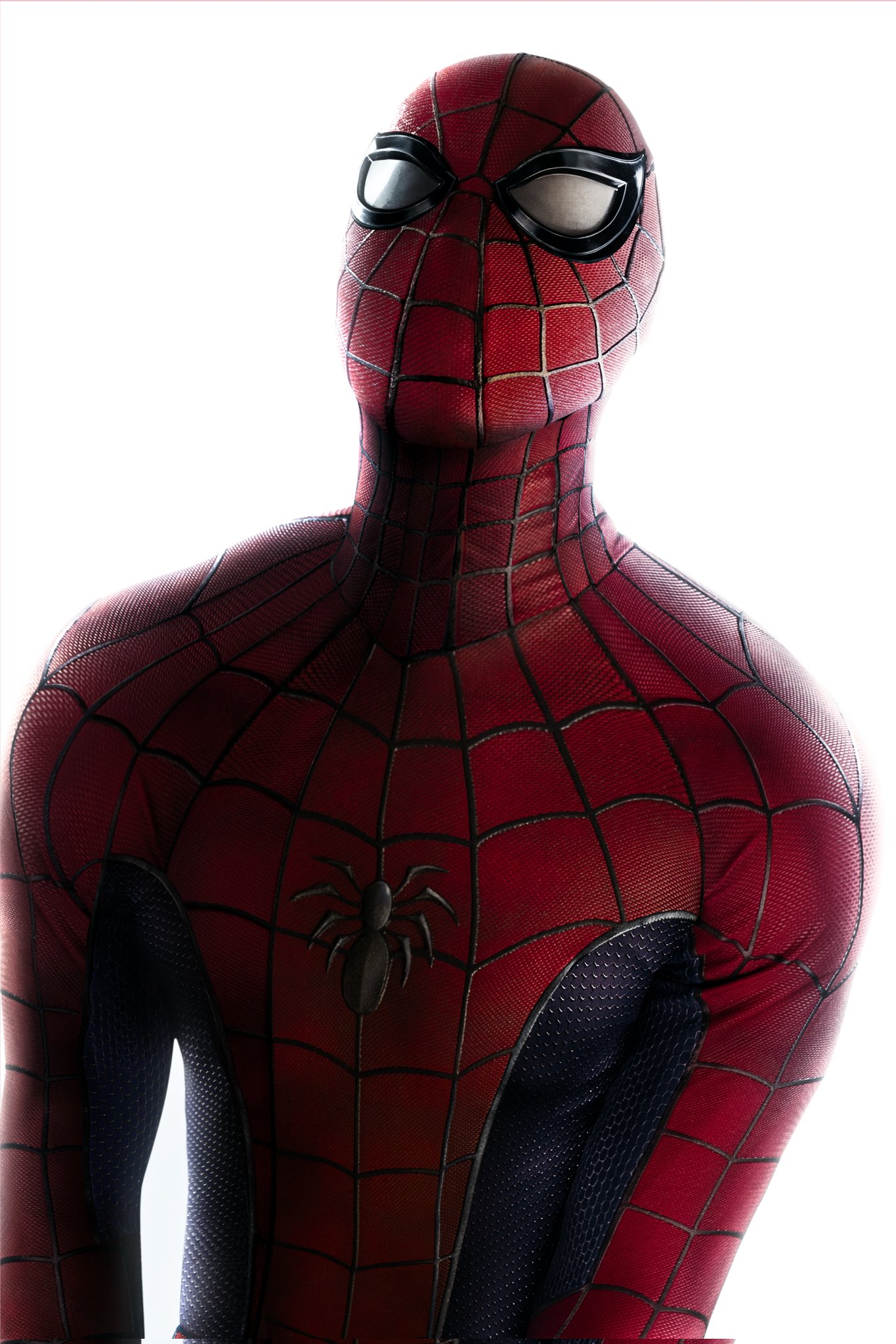 蜘蛛侠：逝去之莲的海报-其他海报