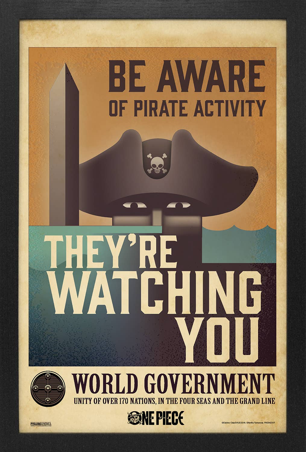 海贼王 真人版的海报-正式海报