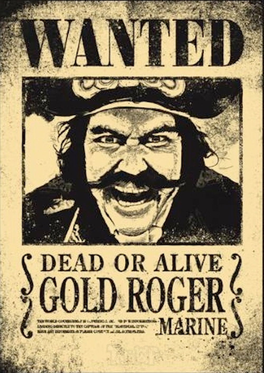 海贼王 真人版的海报-角色海报