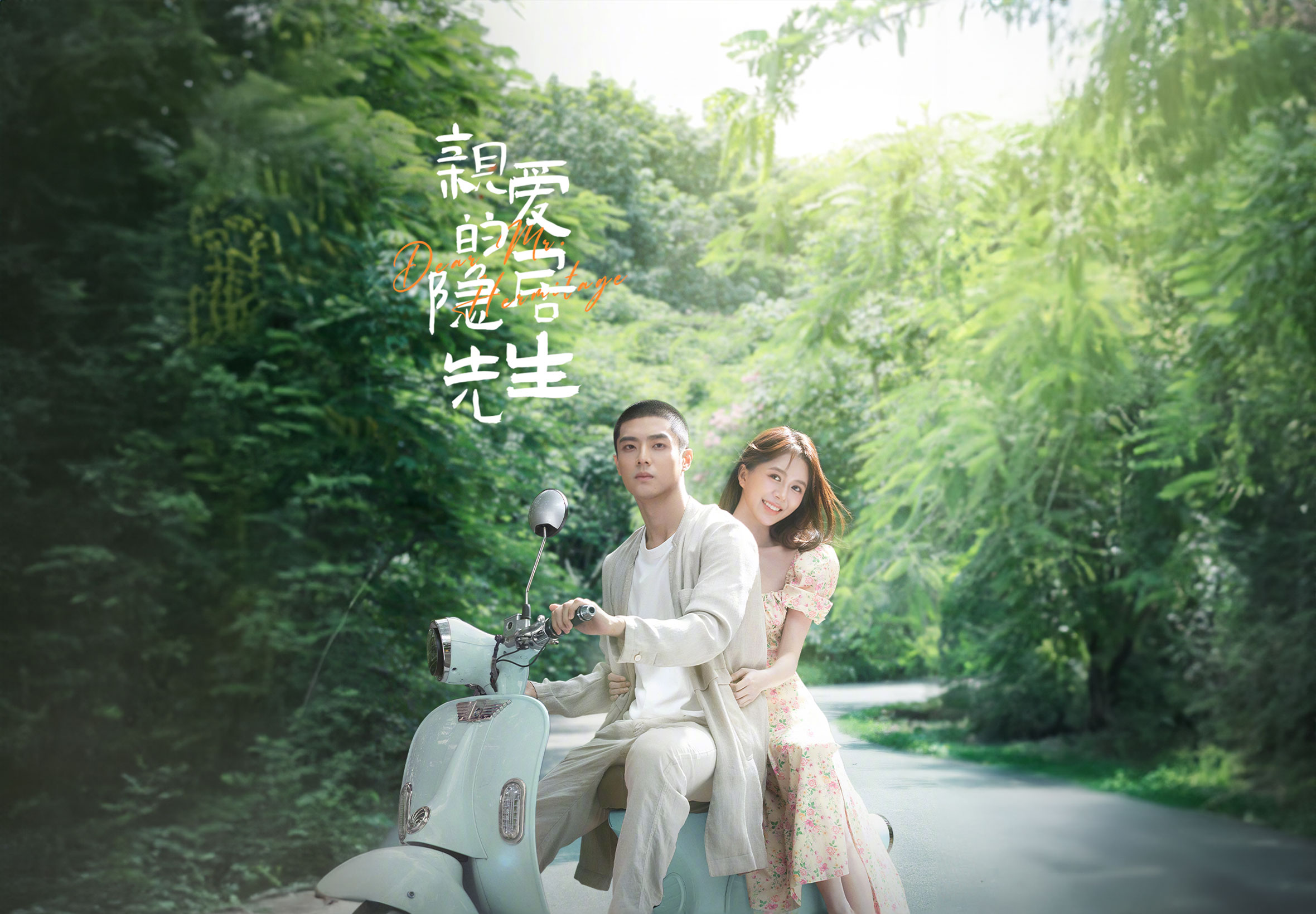 亲爱的隐居先生的海报-正式海报