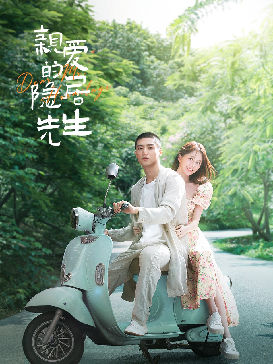 亲爱的隐居先生的海报-正式海报