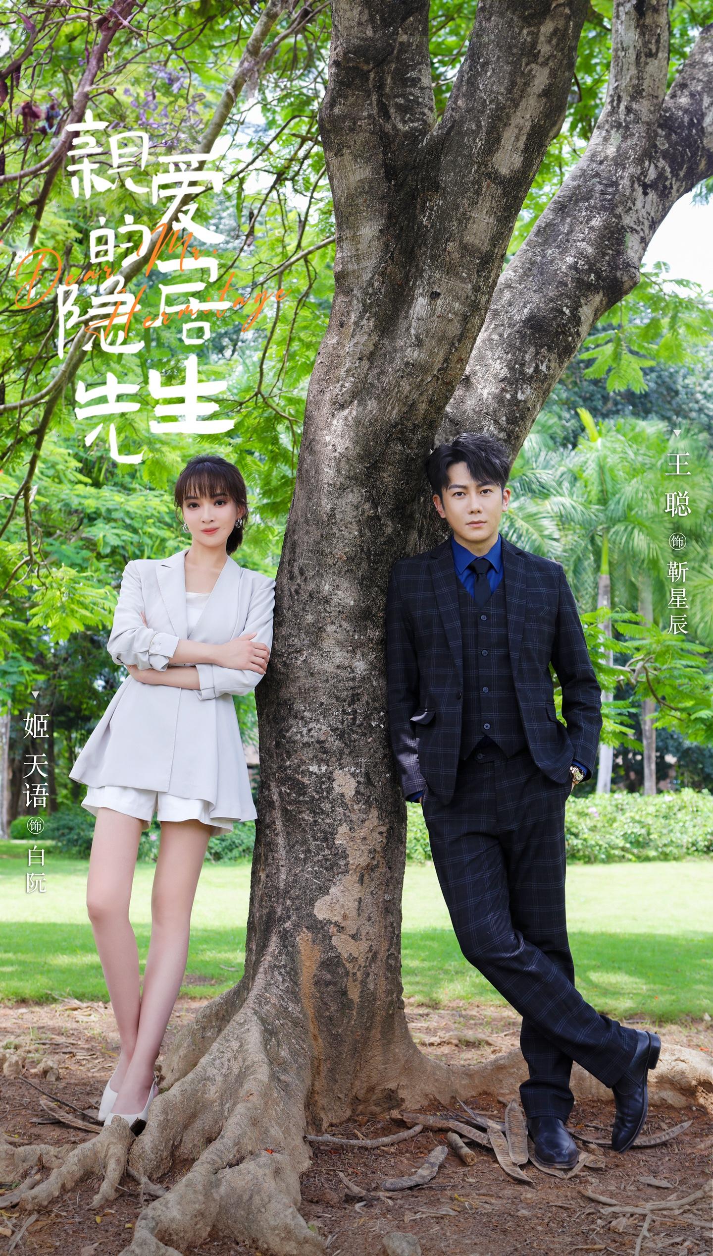 亲爱的隐居先生的海报-预告海报