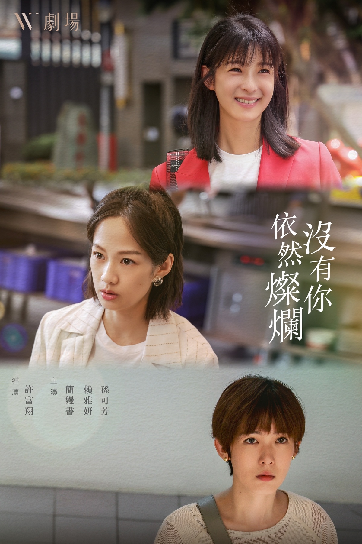 没有你依然灿烂的海报-预告海报