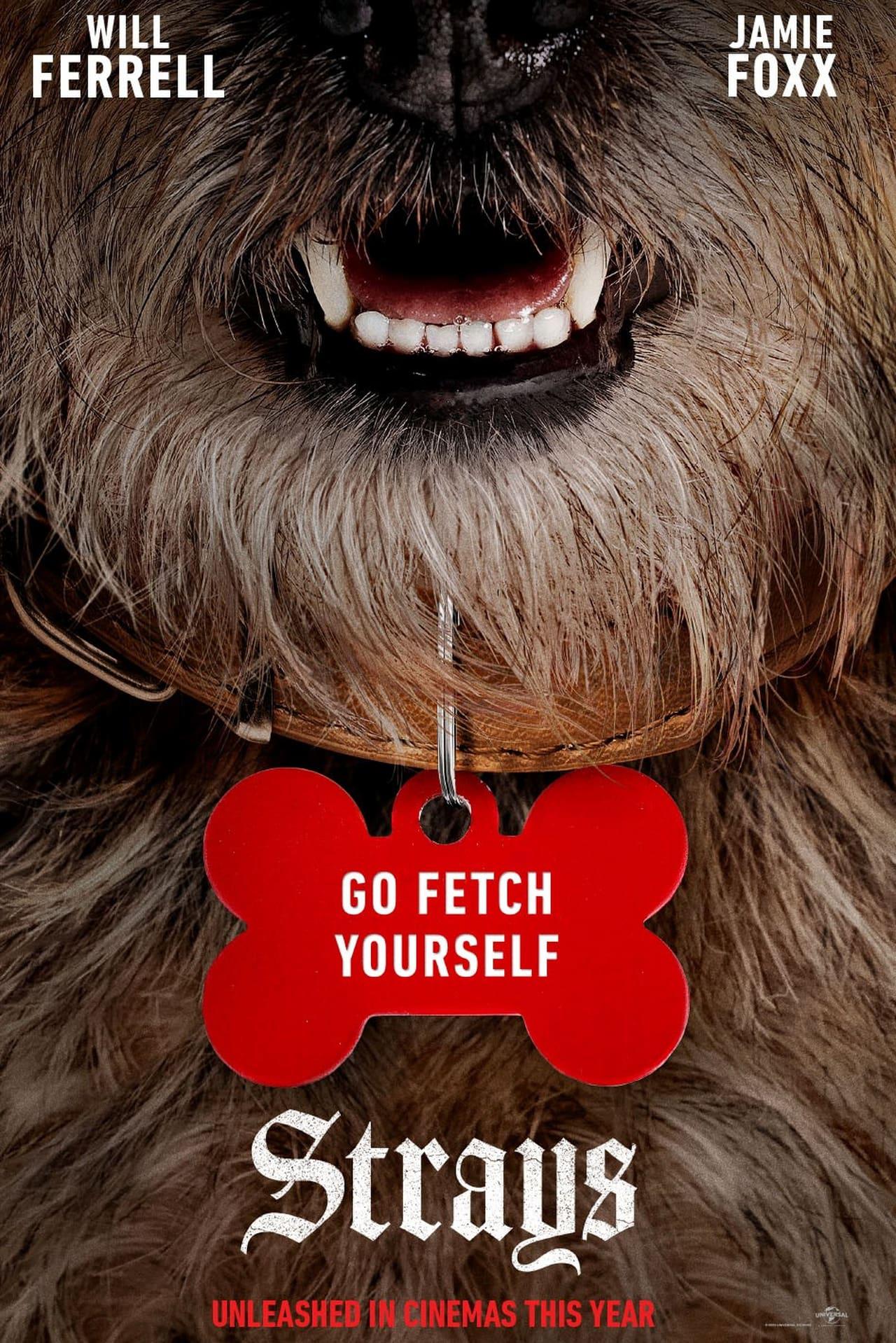 流浪狗的海报-预告海报 美国