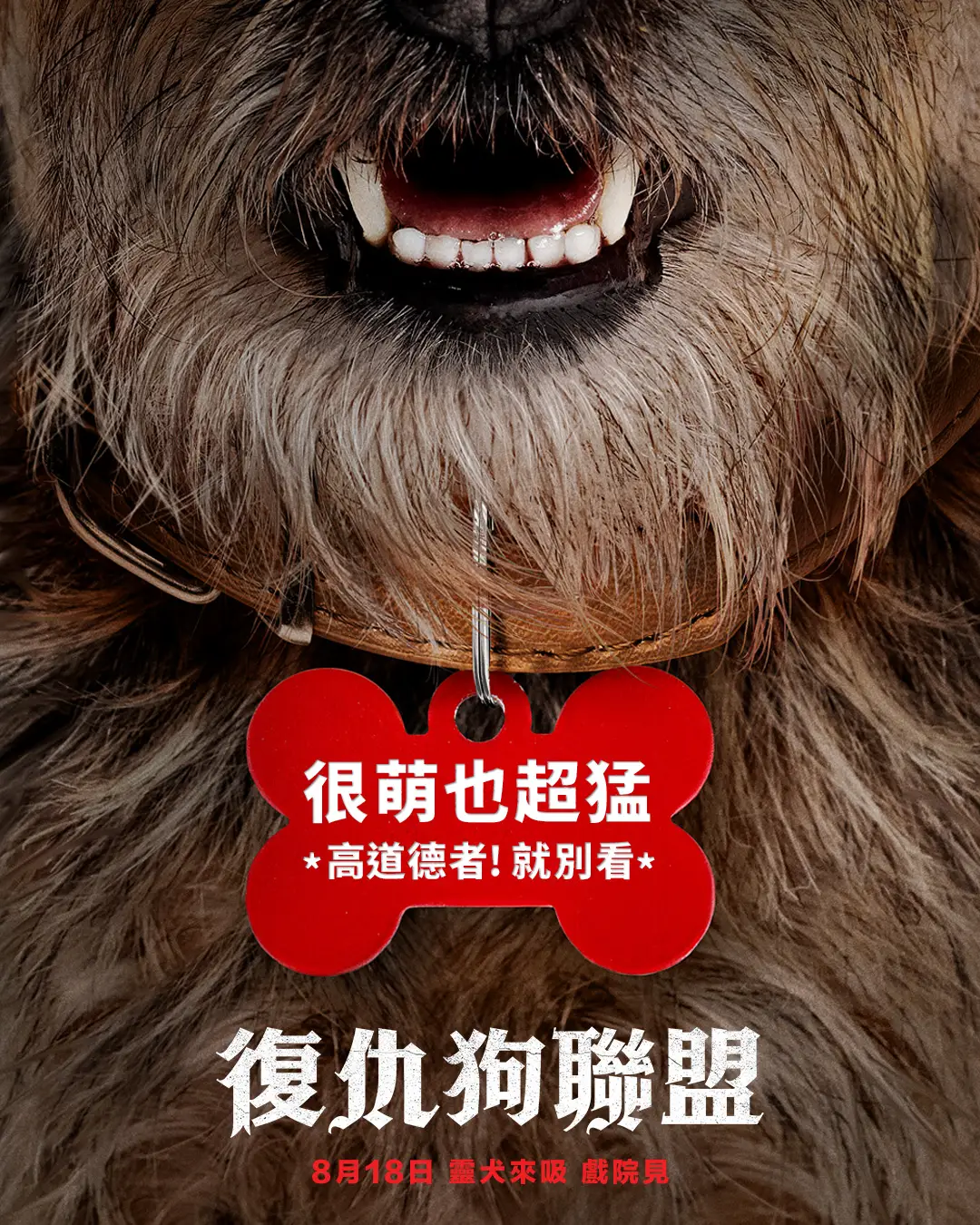 流浪狗的海报-正式海报 中国台湾