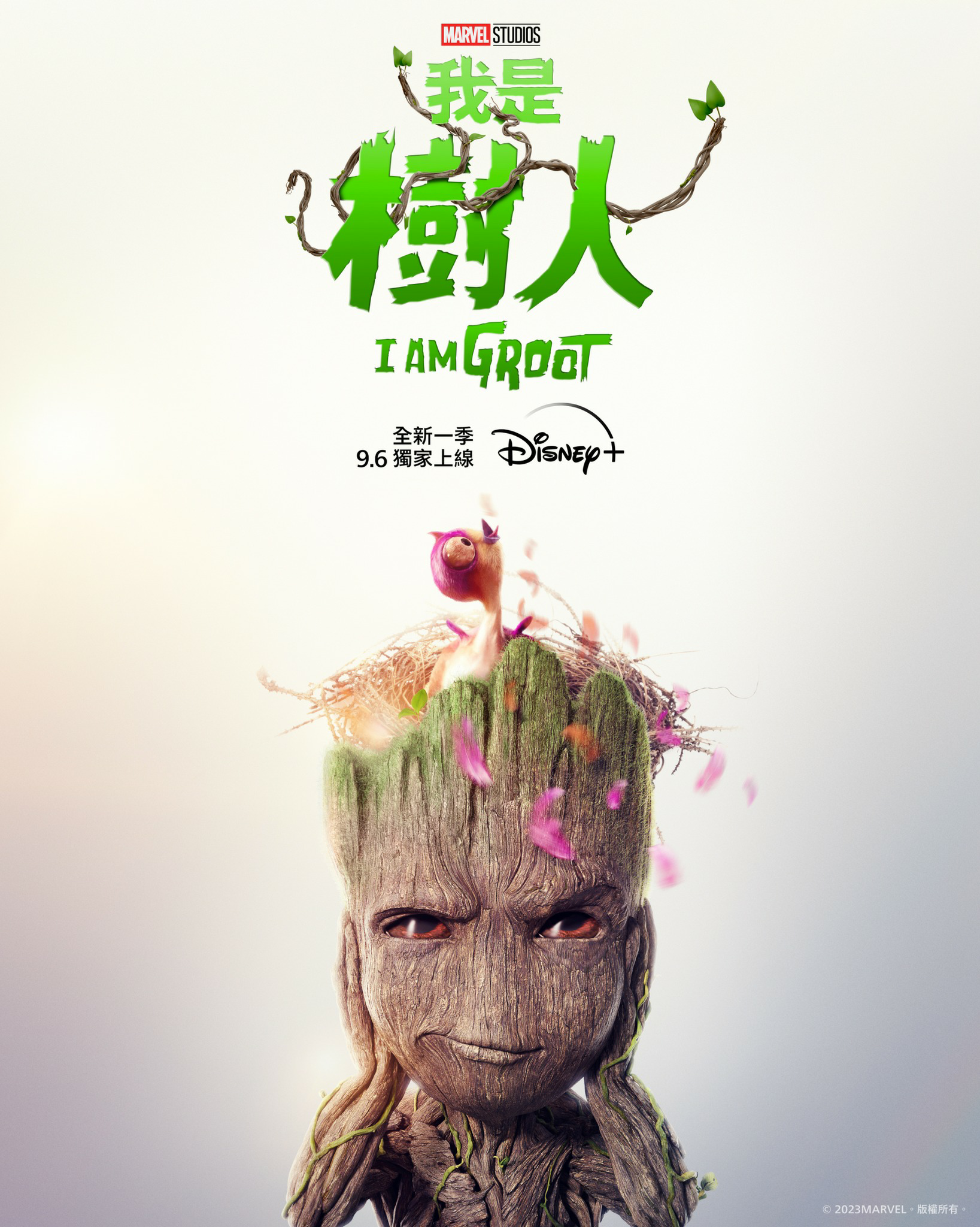 我是格鲁特 第二季的海报-正式海报 中国香港