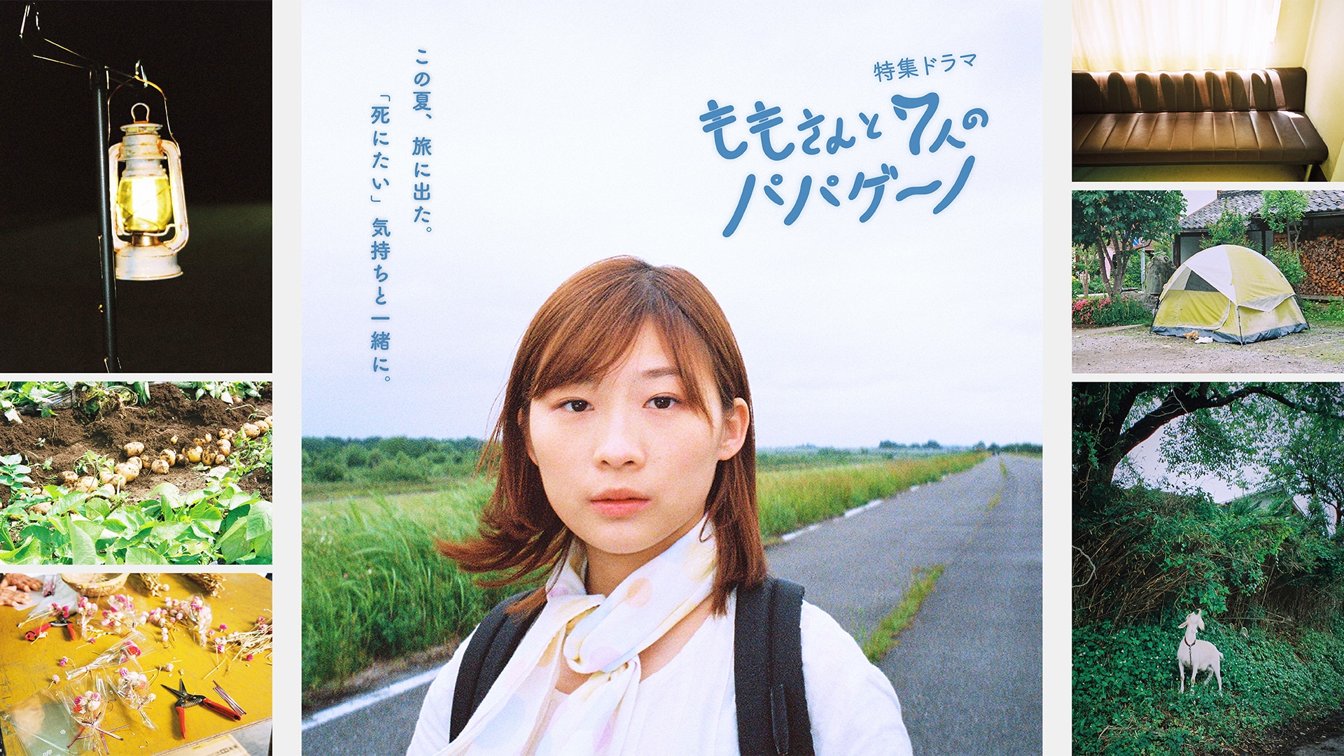 桃与7名帕帕基诺的海报-正式海报