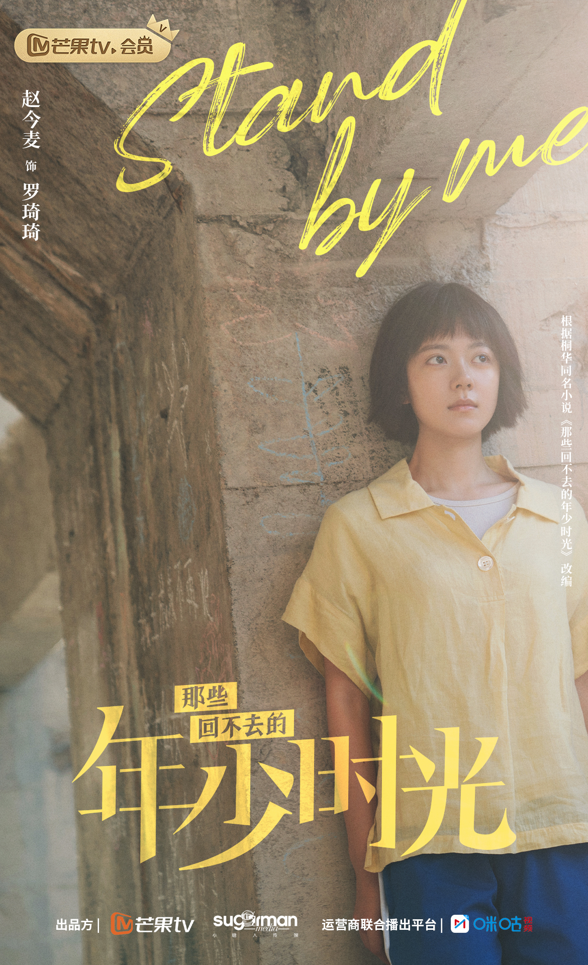 那些回不去的年少时光的海报-角色海报 中国大陆