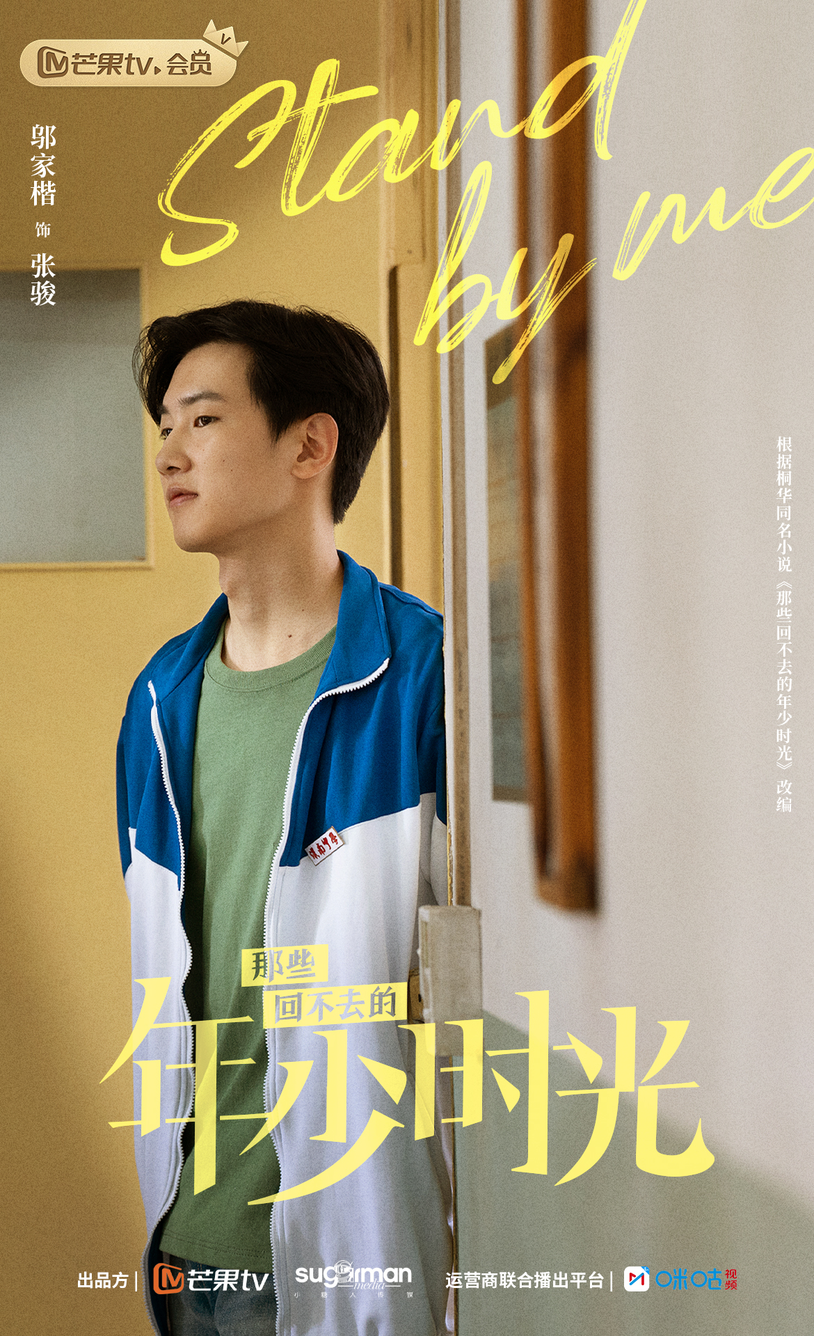 那些回不去的年少时光的海报-角色海报 中国大陆