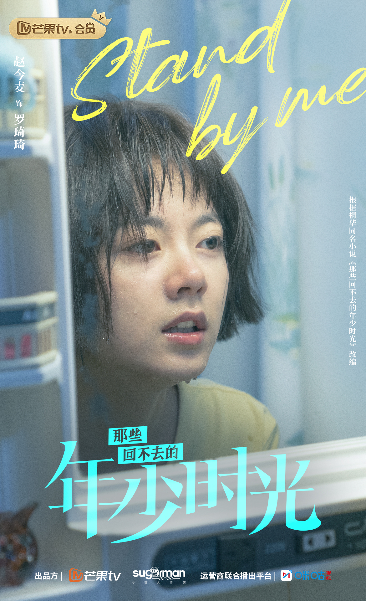 那些回不去的年少时光的海报-角色海报 中国大陆