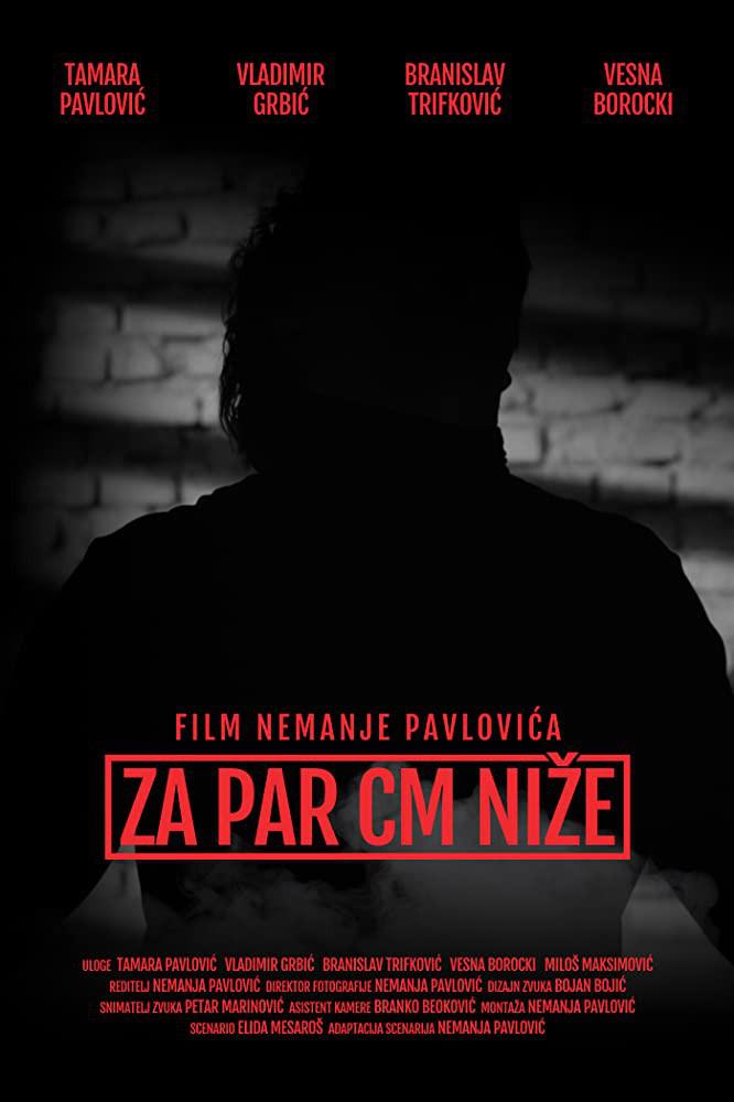 Za par cm nize的海报-正式海报