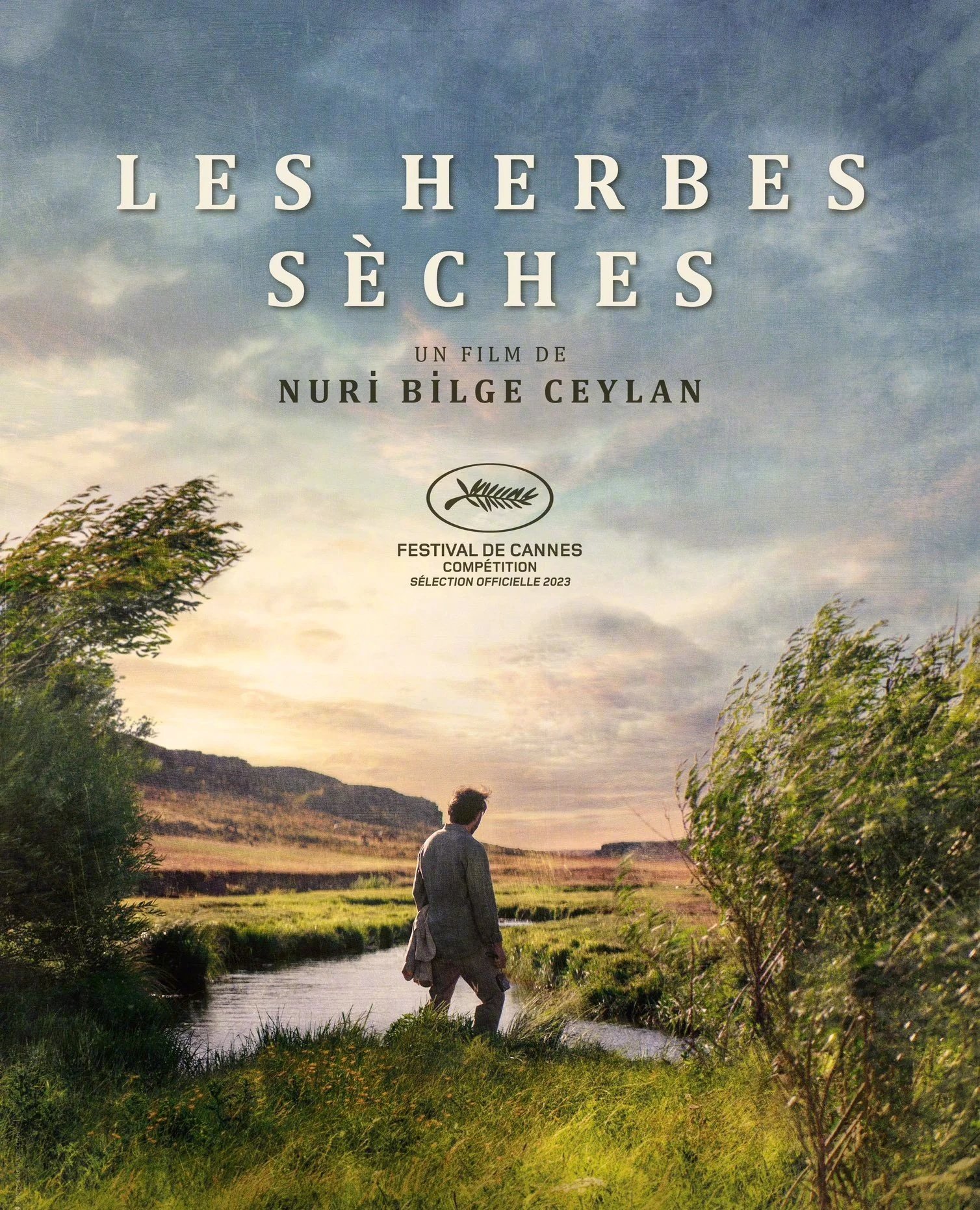 枯草的海报-正式海报 法国