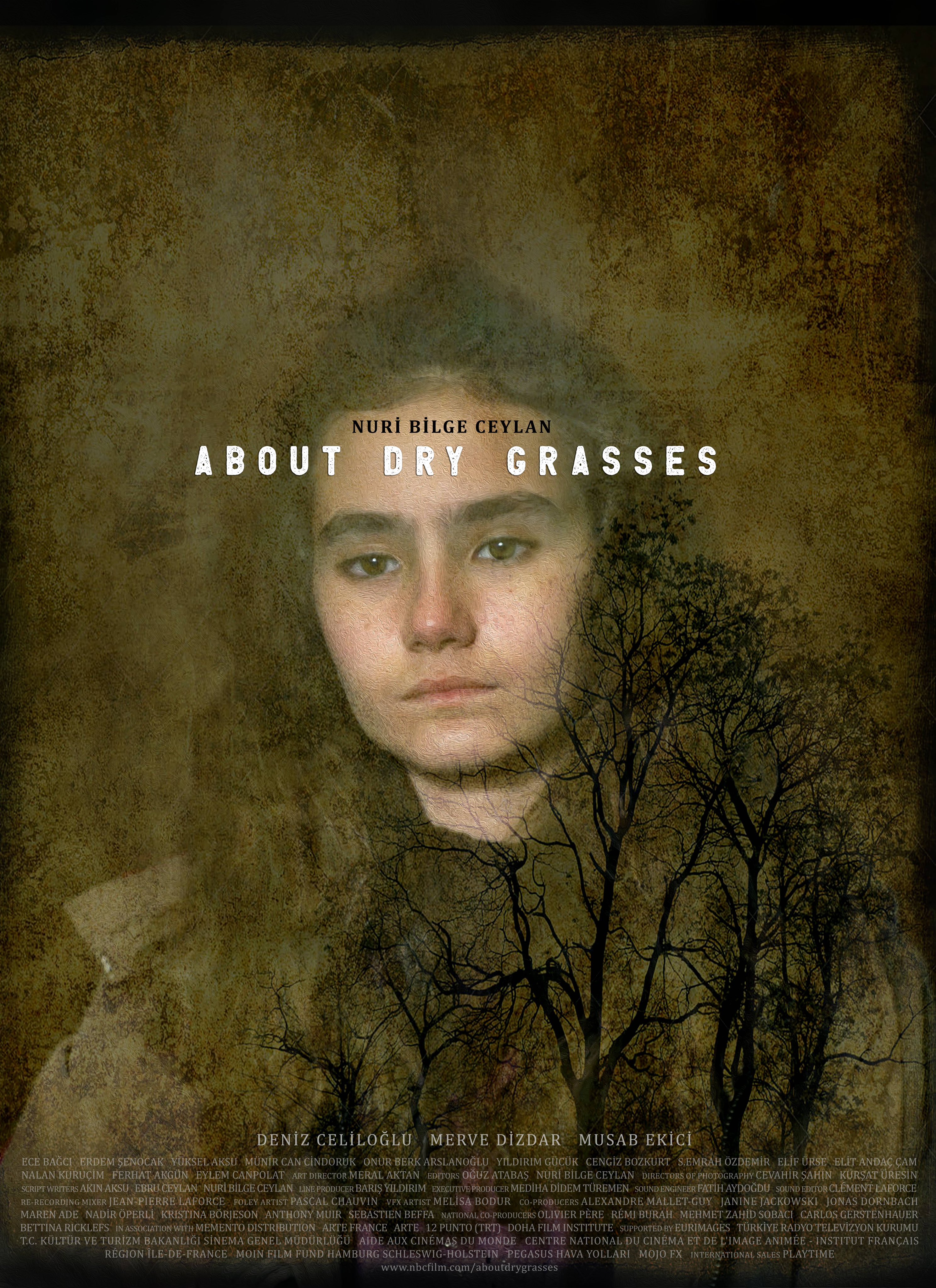 枯草的海报-角色海报 国际版