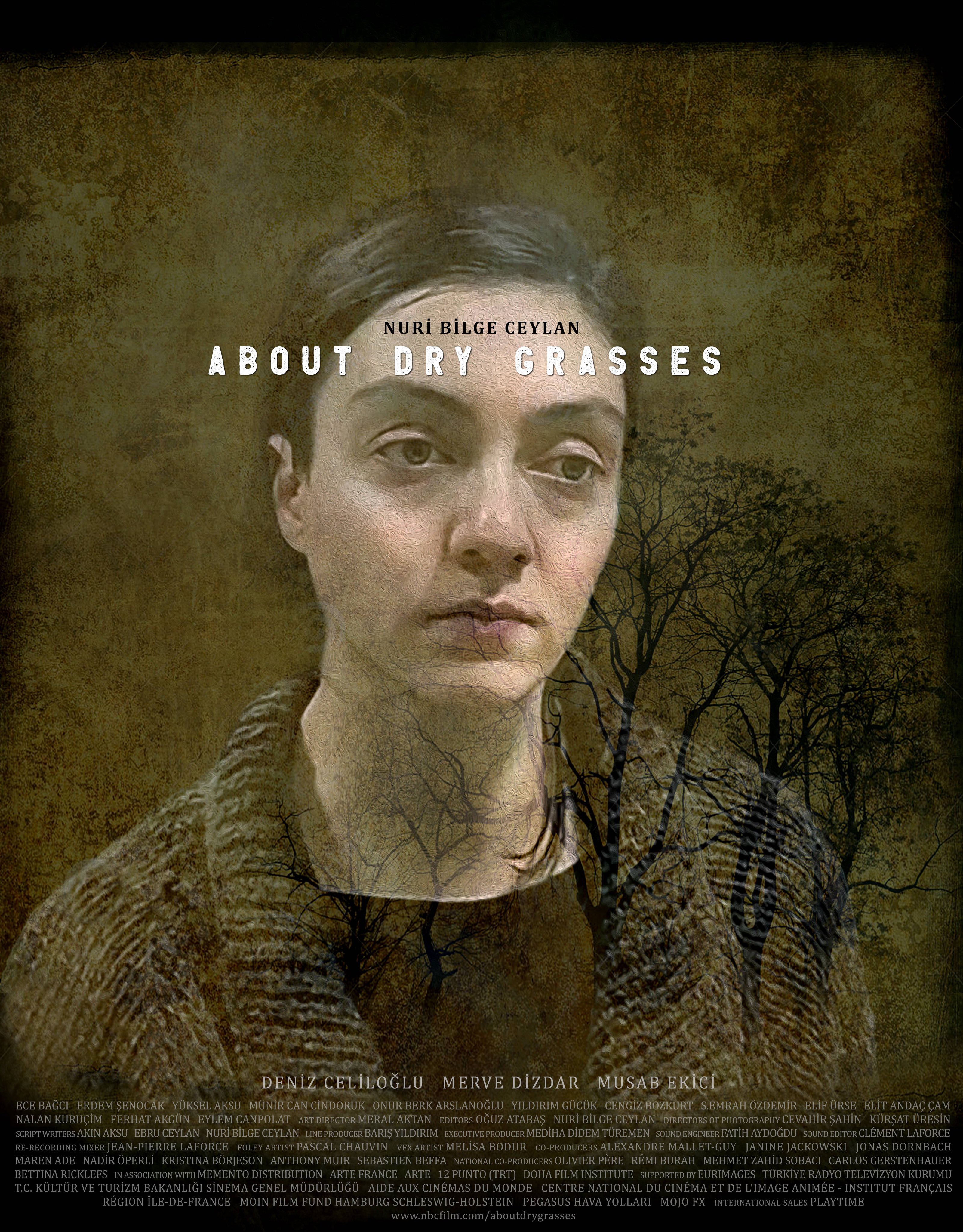 枯草的海报-角色海报 国际版