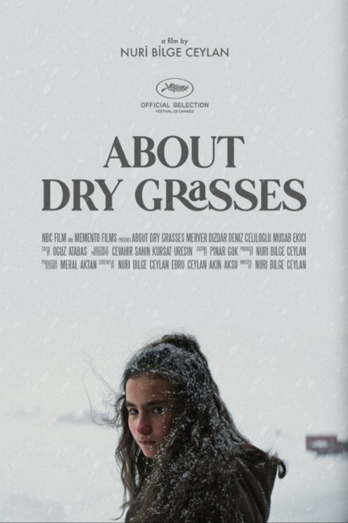 枯草的海报-预告海报 国际版