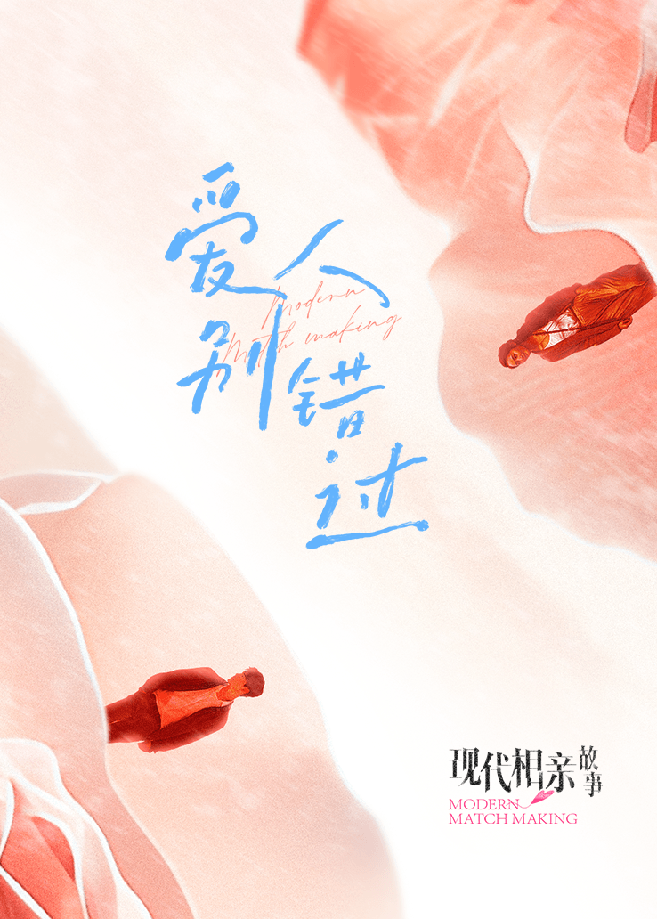 现代相亲故事的海报-其他海报