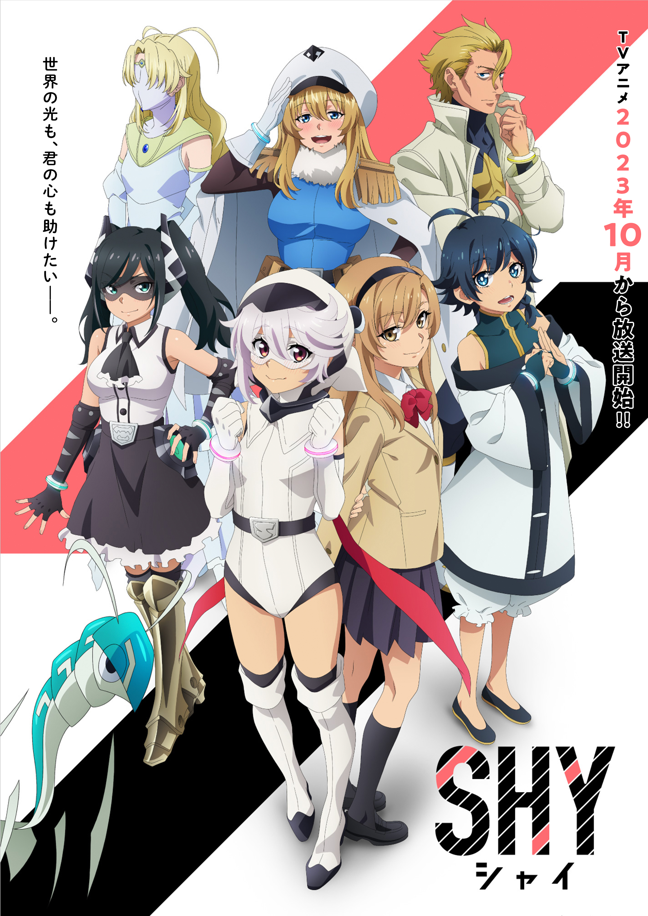 腼腆英雄的海报-正式海报