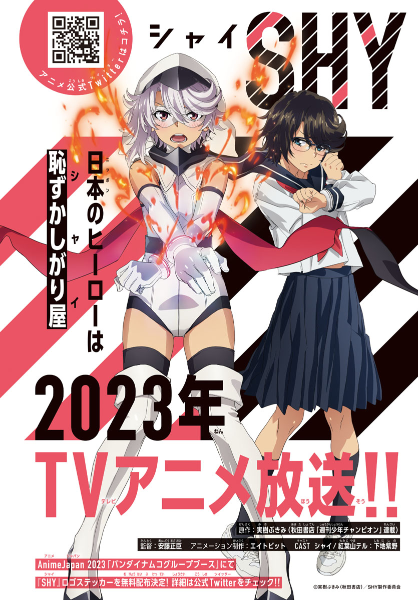 腼腆英雄的海报-预告海报