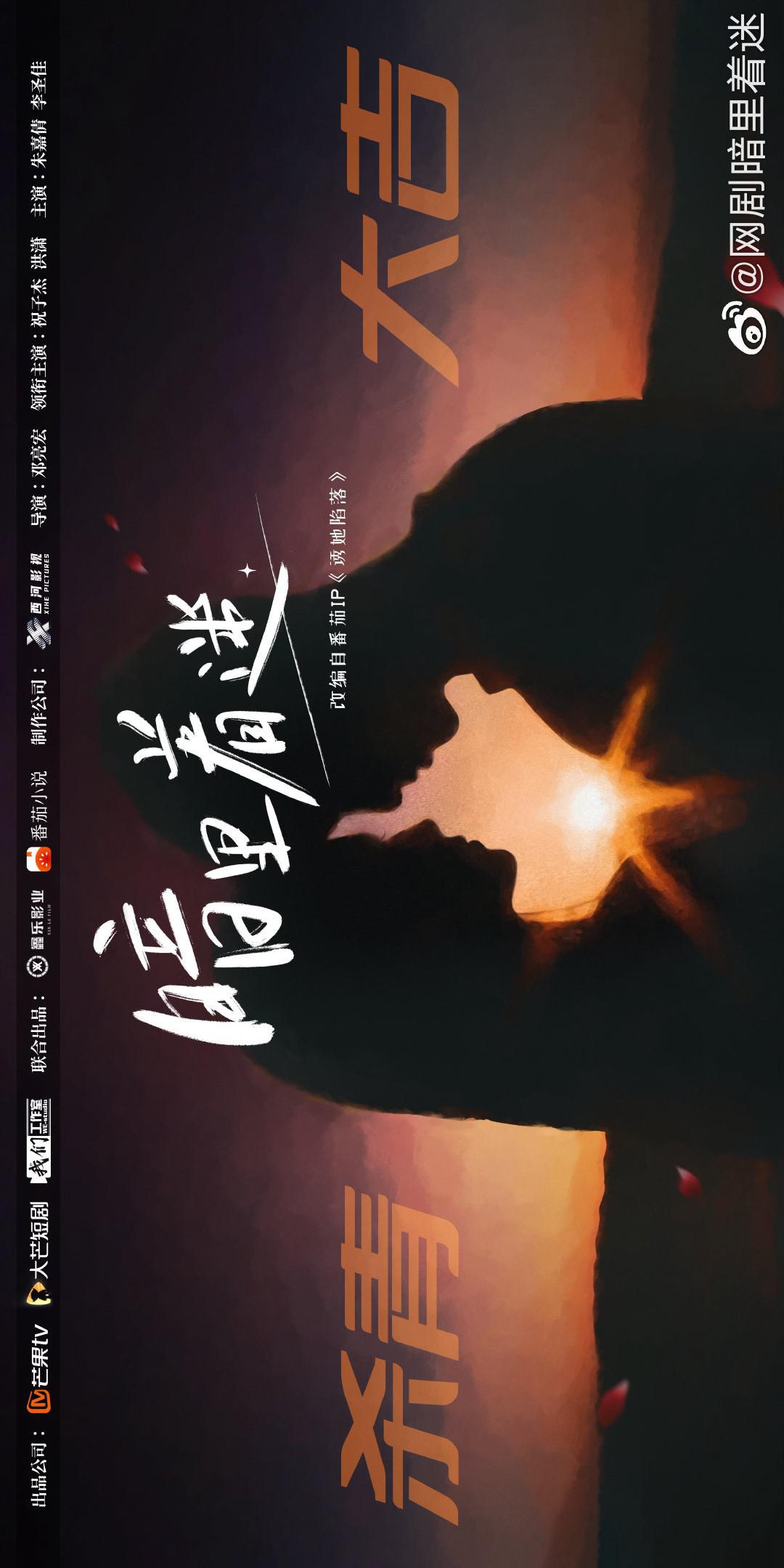 暗里着迷的海报-正式海报