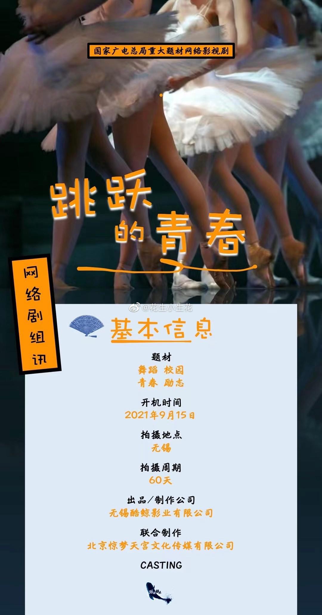 踮起脚尖靠近你的海报-正式海报