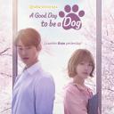 今天也很可爱的狗