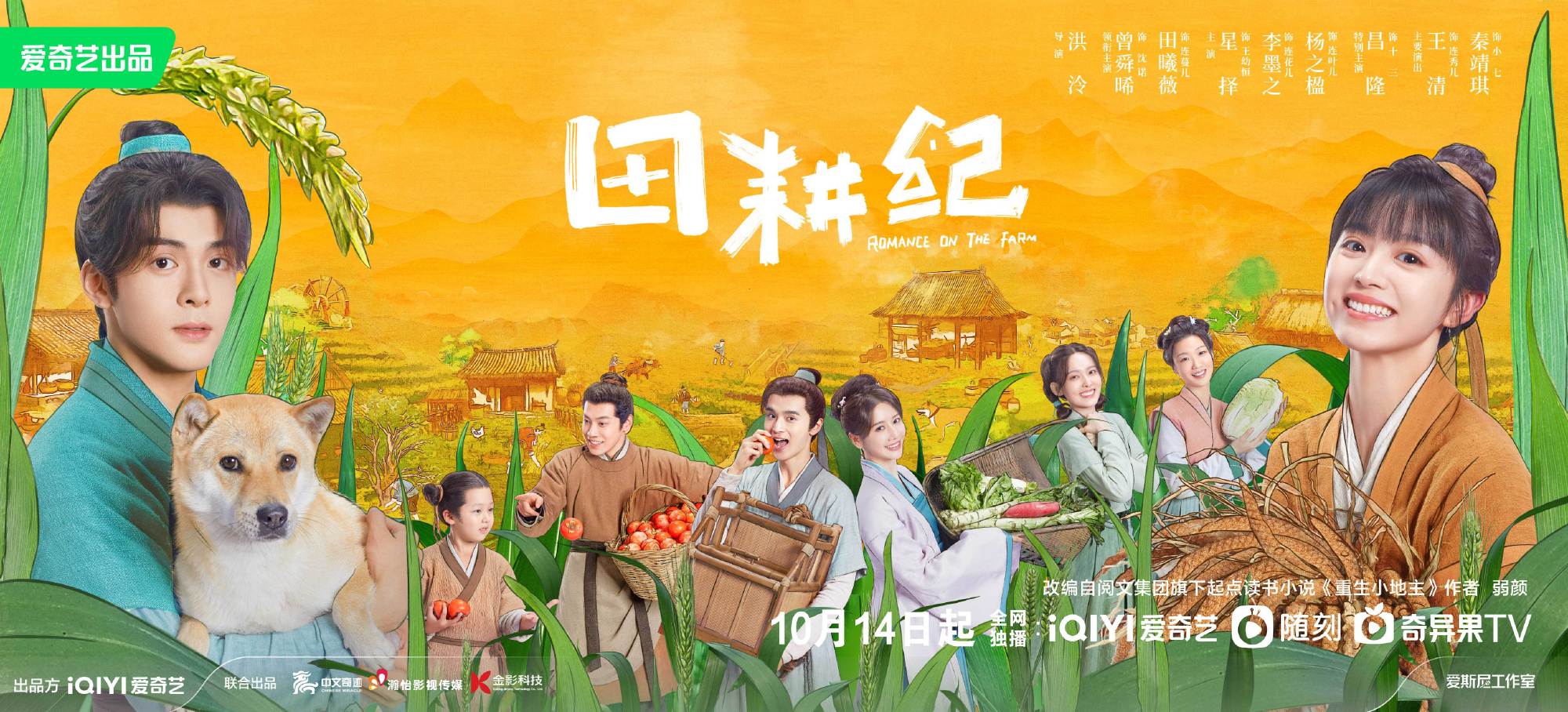 田耕纪的海报-正式海报