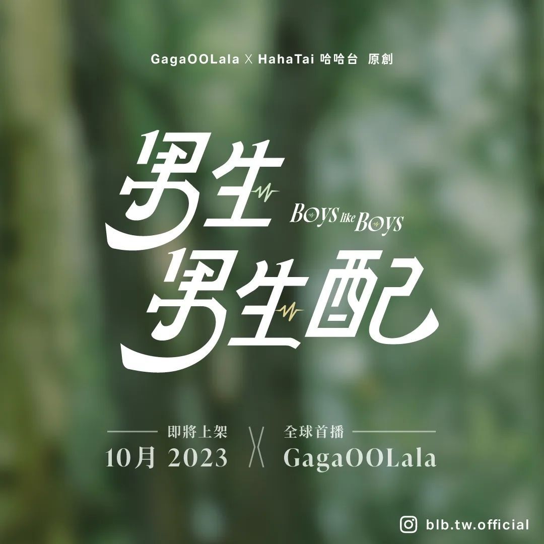 男生男生配的海报-预告海报