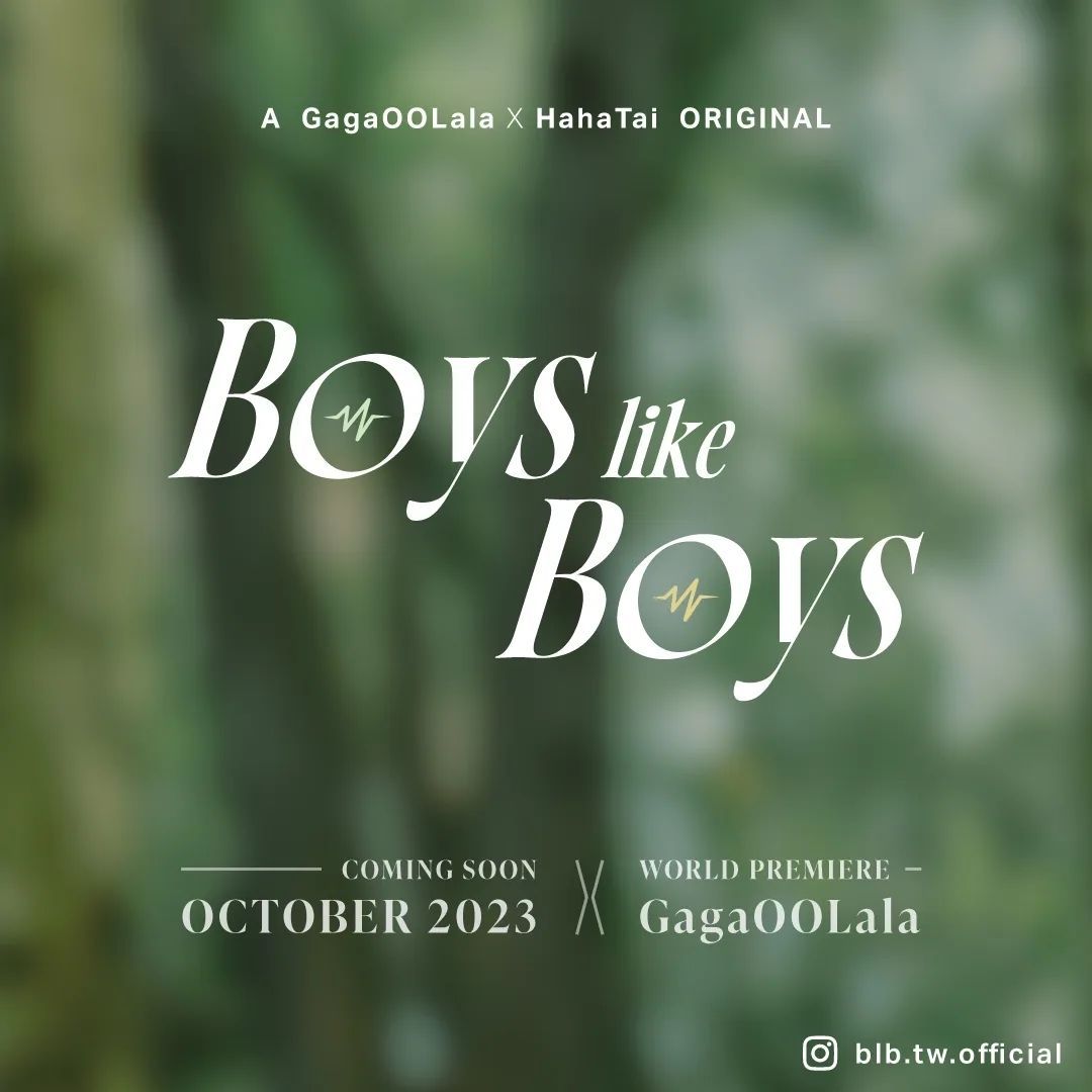 男生男生配的海报-预告海报