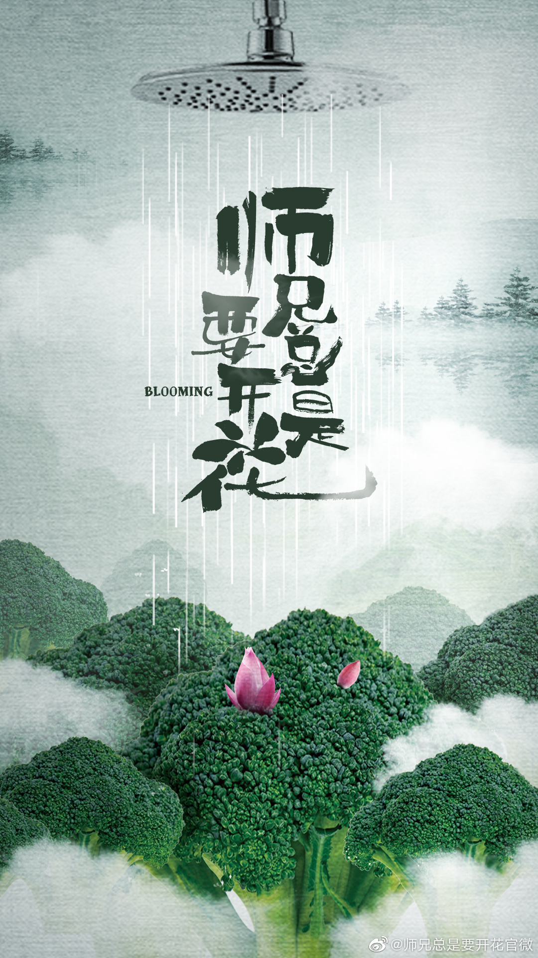 一念花开的海报-预告海报 中国大陆