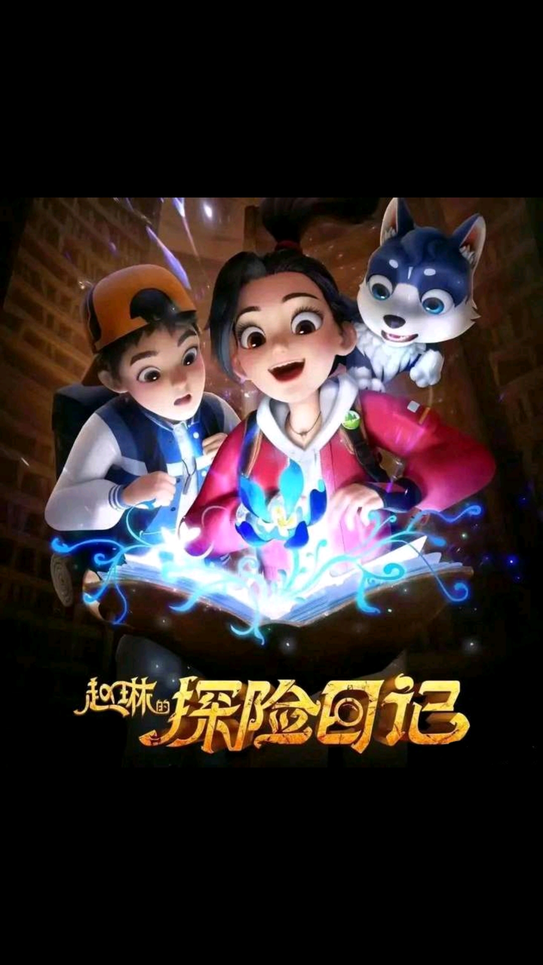 赵琳的探险日记的海报-正式海报