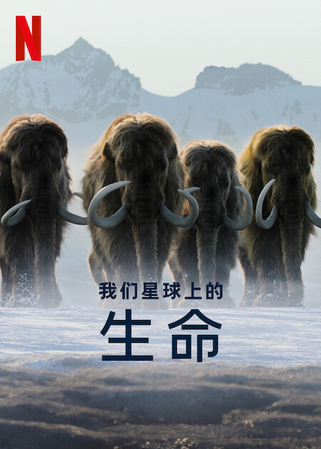 我们星球上的生命的海报-正式海报 中国大陆