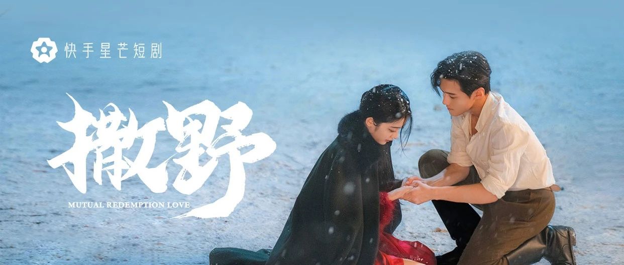 撒野的海报-预告海报