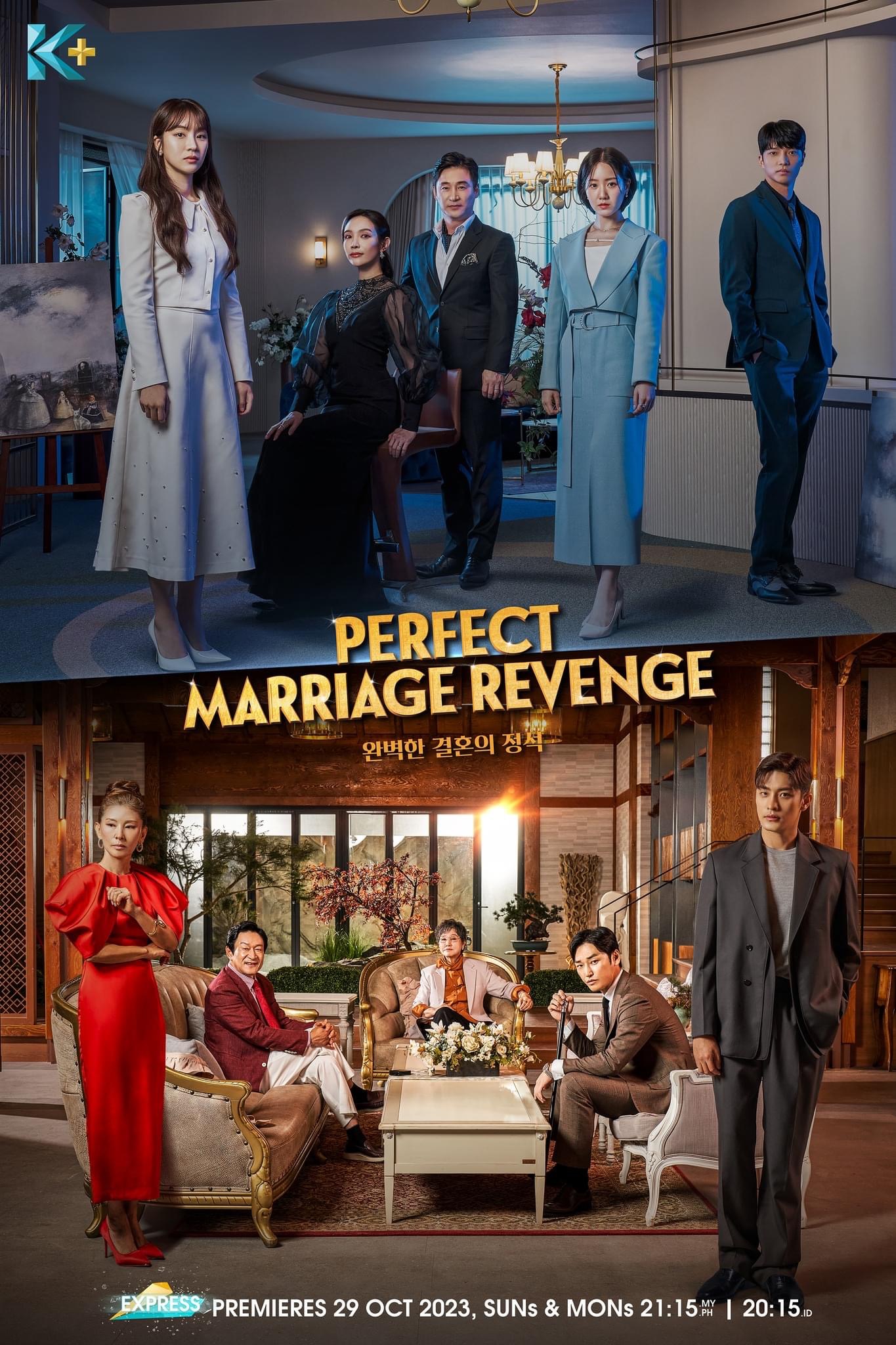 完美婚姻的定式的海报-正式海报