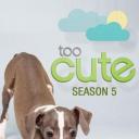 萌宠成长记 第五季