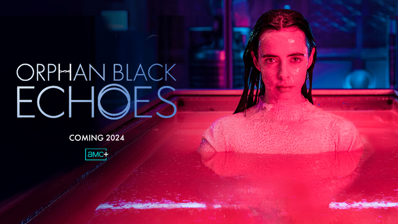 黑色孤儿：回响的海报-其他海报