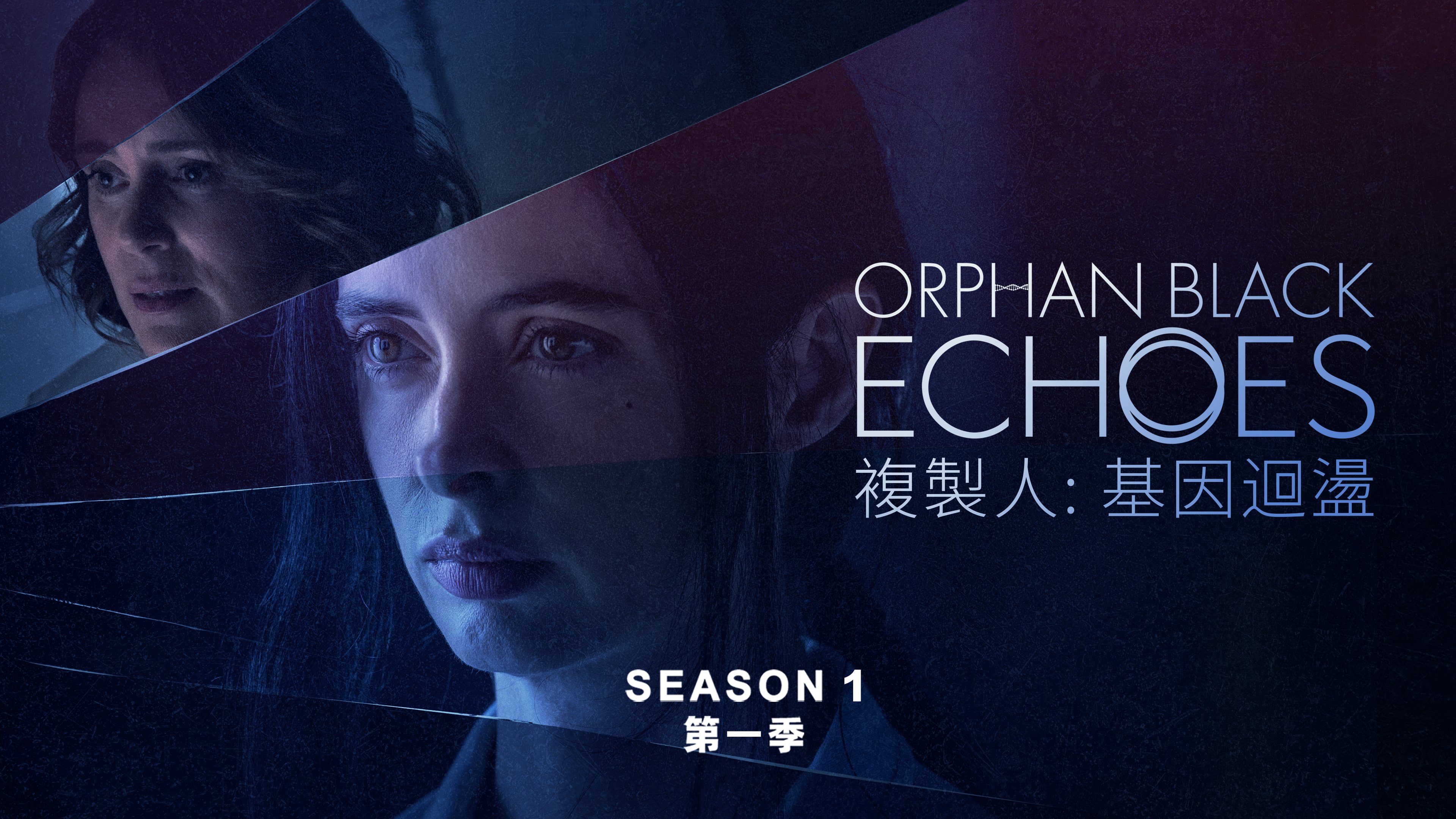 黑色孤儿：回响的海报-正式海报 中国香港