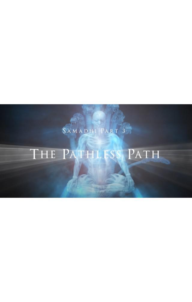 三摩地 第三部 无路之道的海报-正式海报