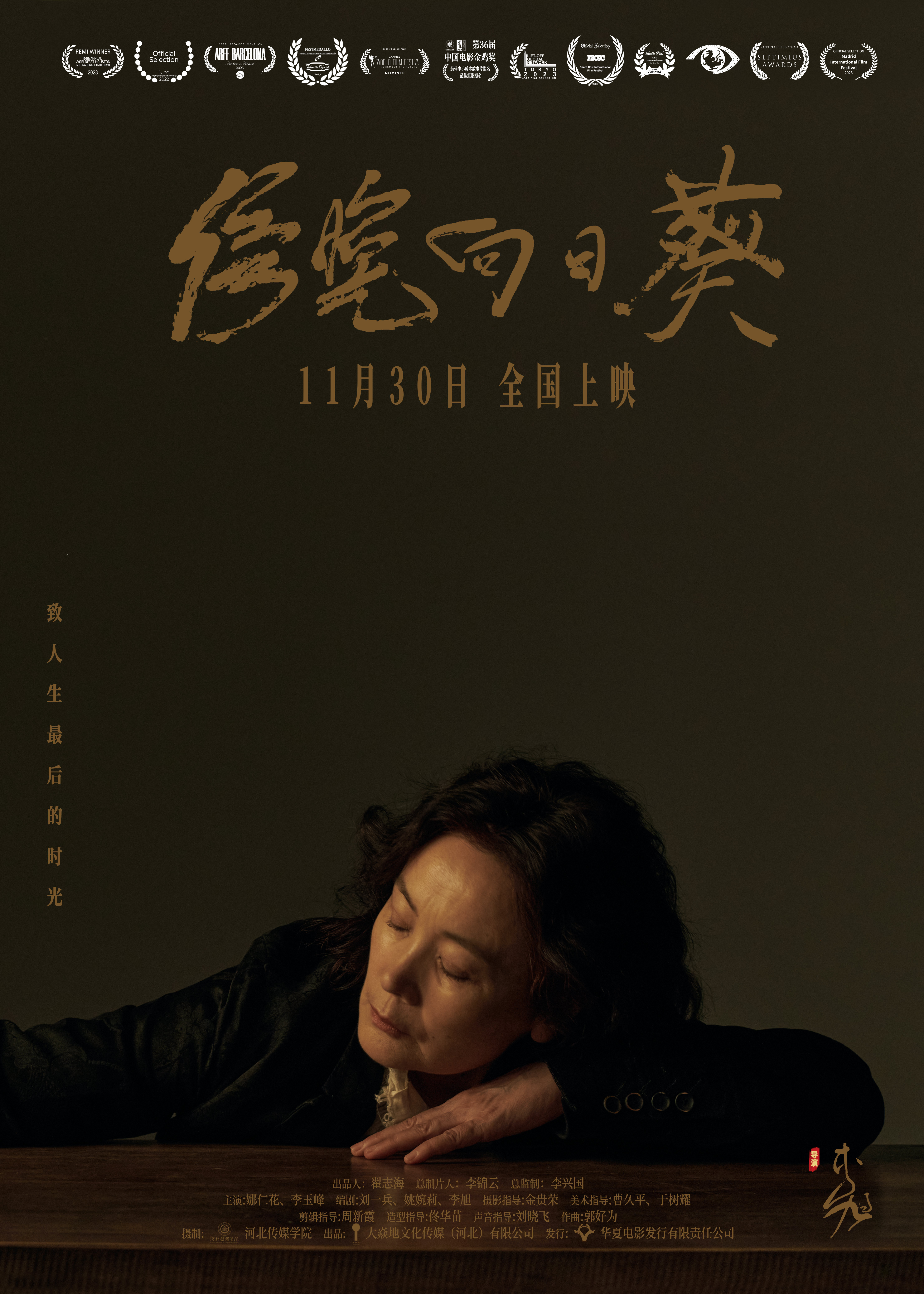 傍晚向日葵的海报-正式海报 中国大陆