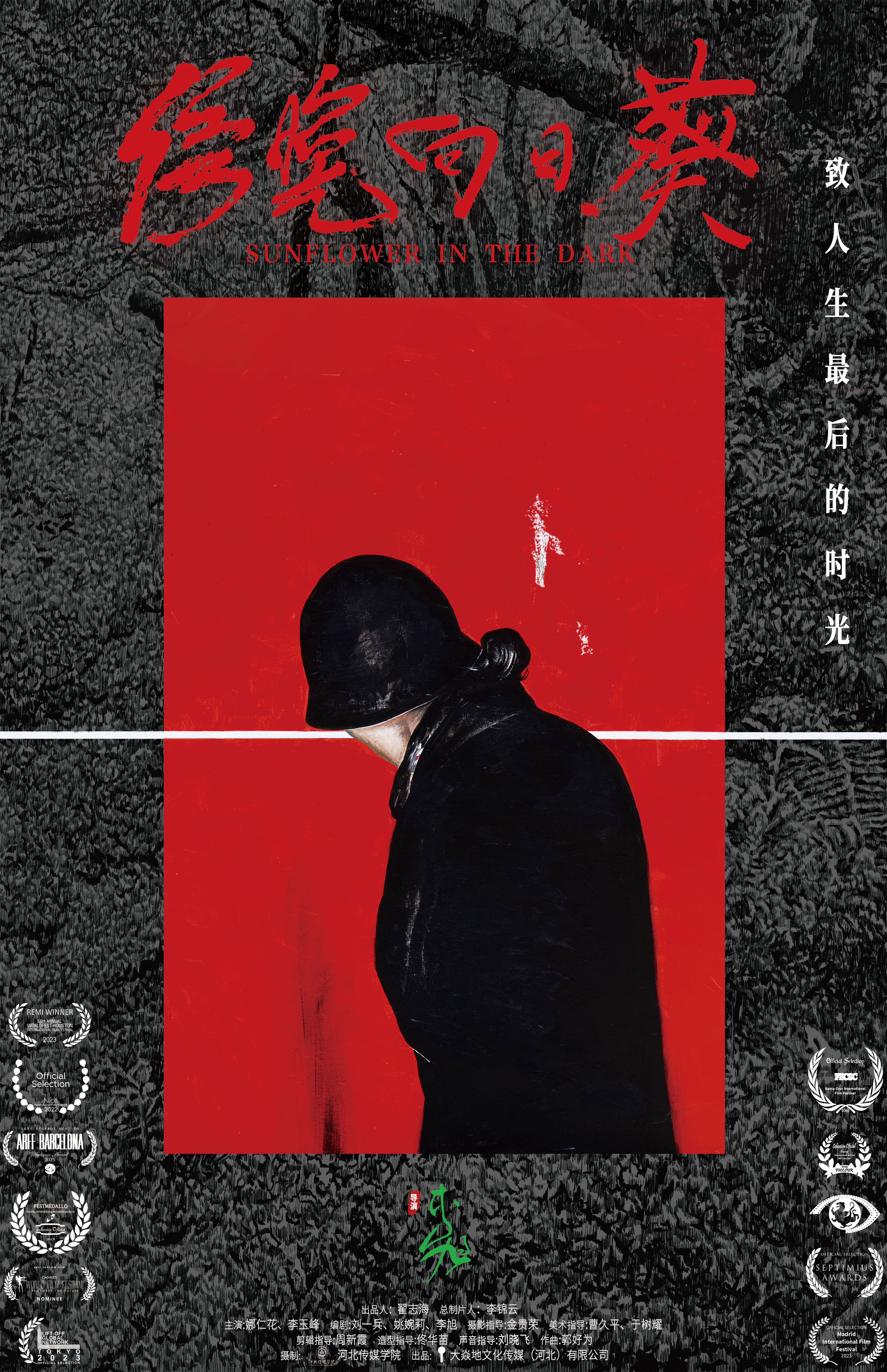 傍晚向日葵的海报-正式海报 中国大陆