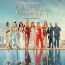 日落家园 第七季