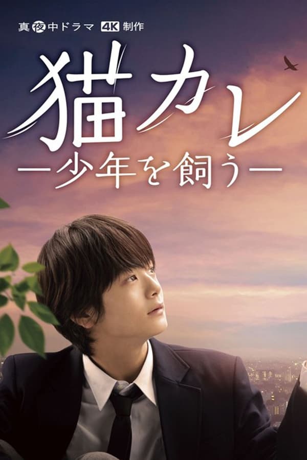 我养了个少年的海报-正式海报