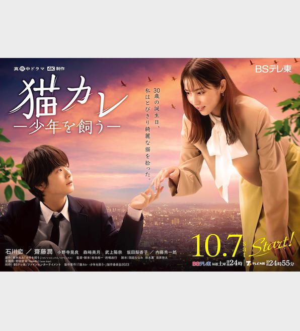 我养了个少年的海报-正式海报