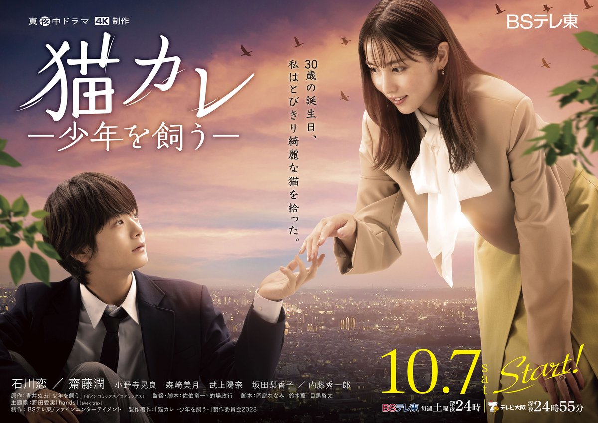 我养了个少年的海报-正式海报