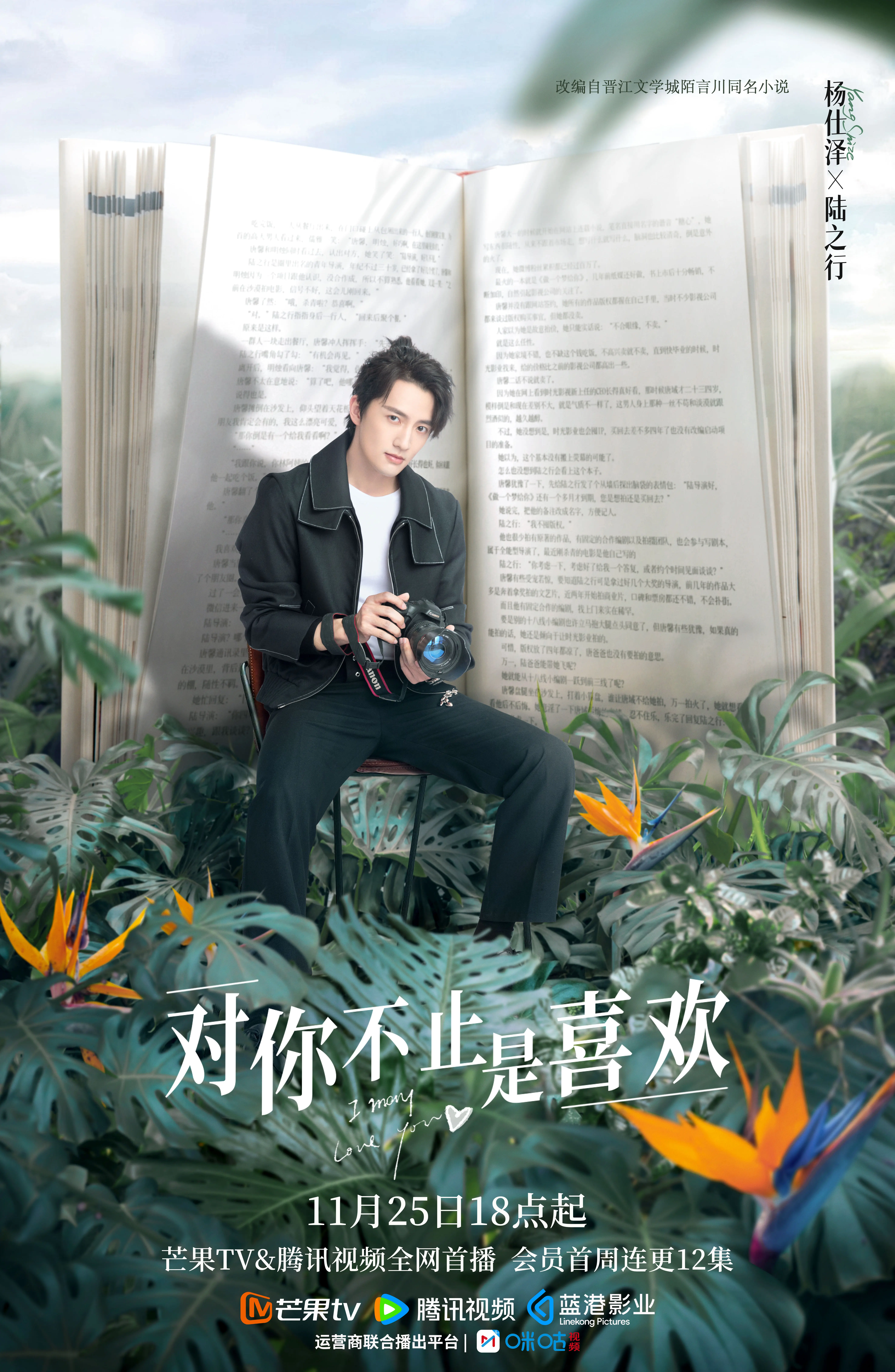 对你不止是喜欢的海报-角色海报