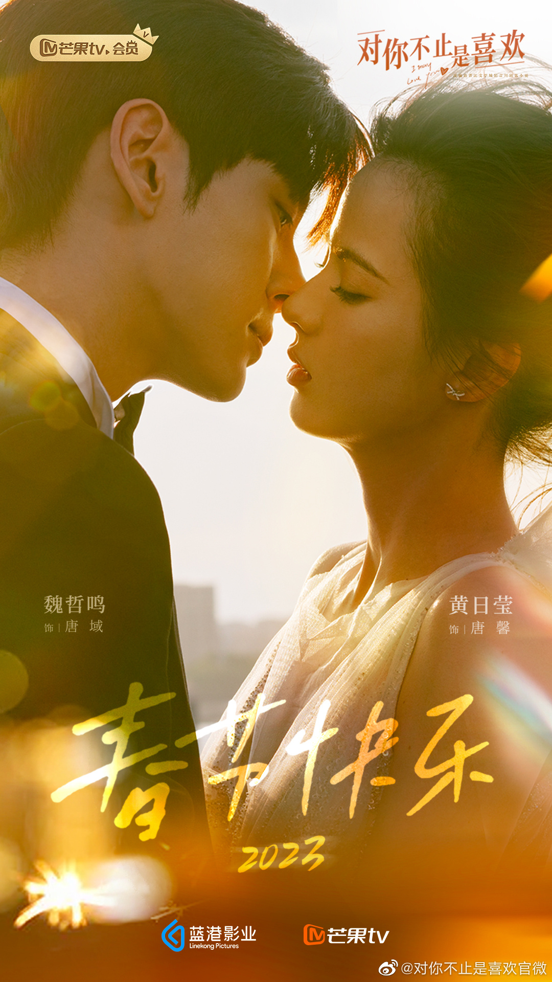 对你不止是喜欢的海报-预告海报