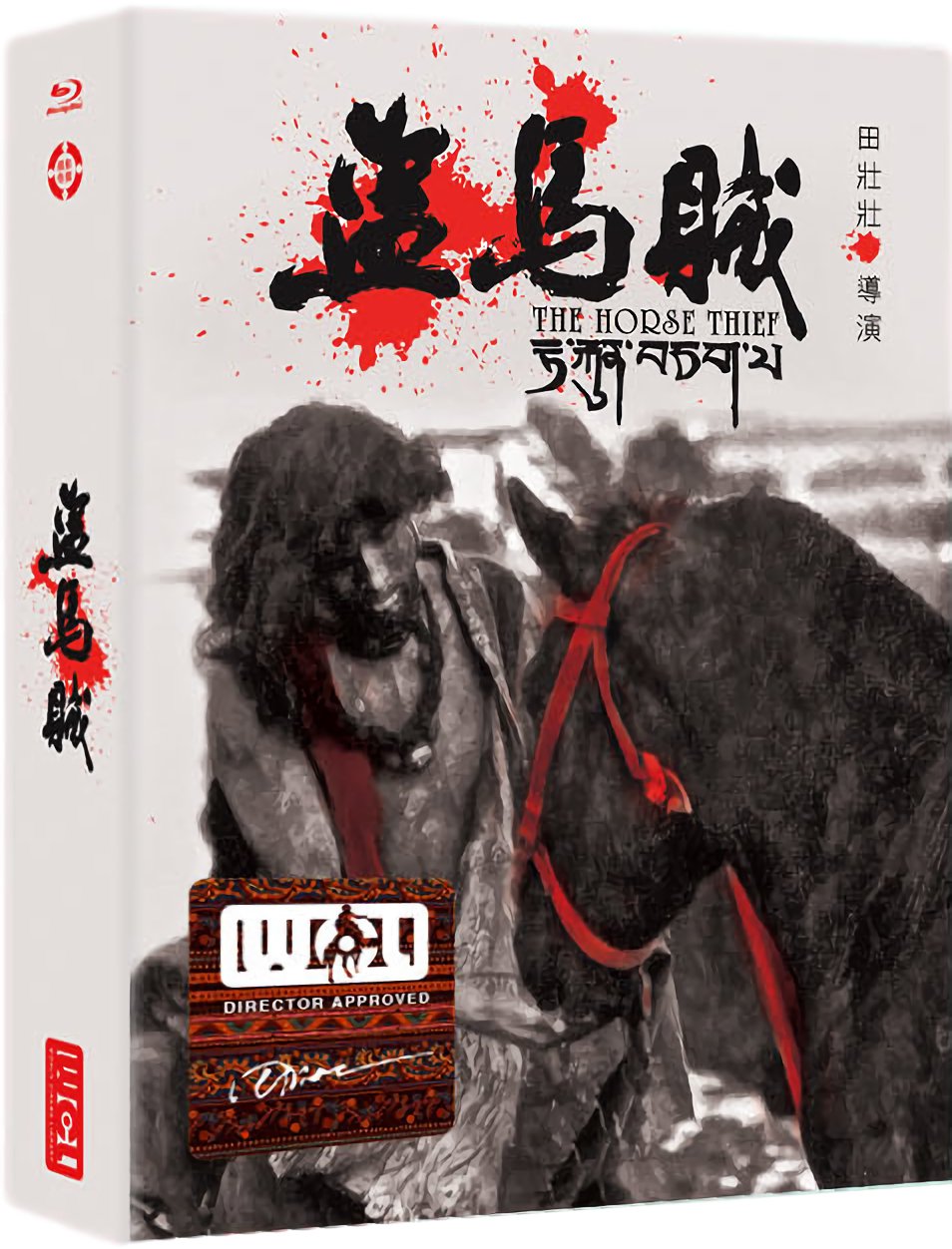 盗马贼的海报-其他海报 中国大陆