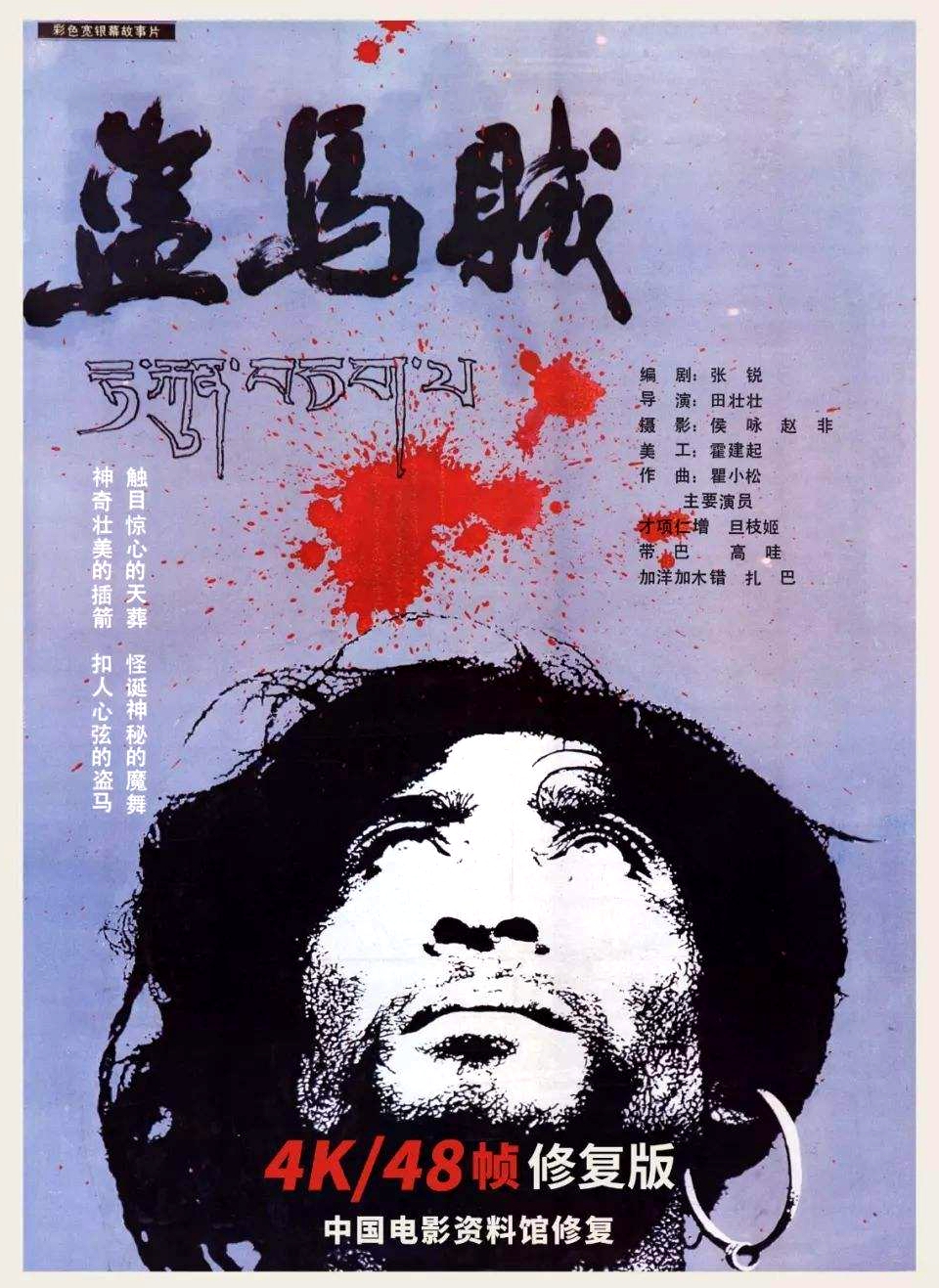 盗马贼的海报-其他海报