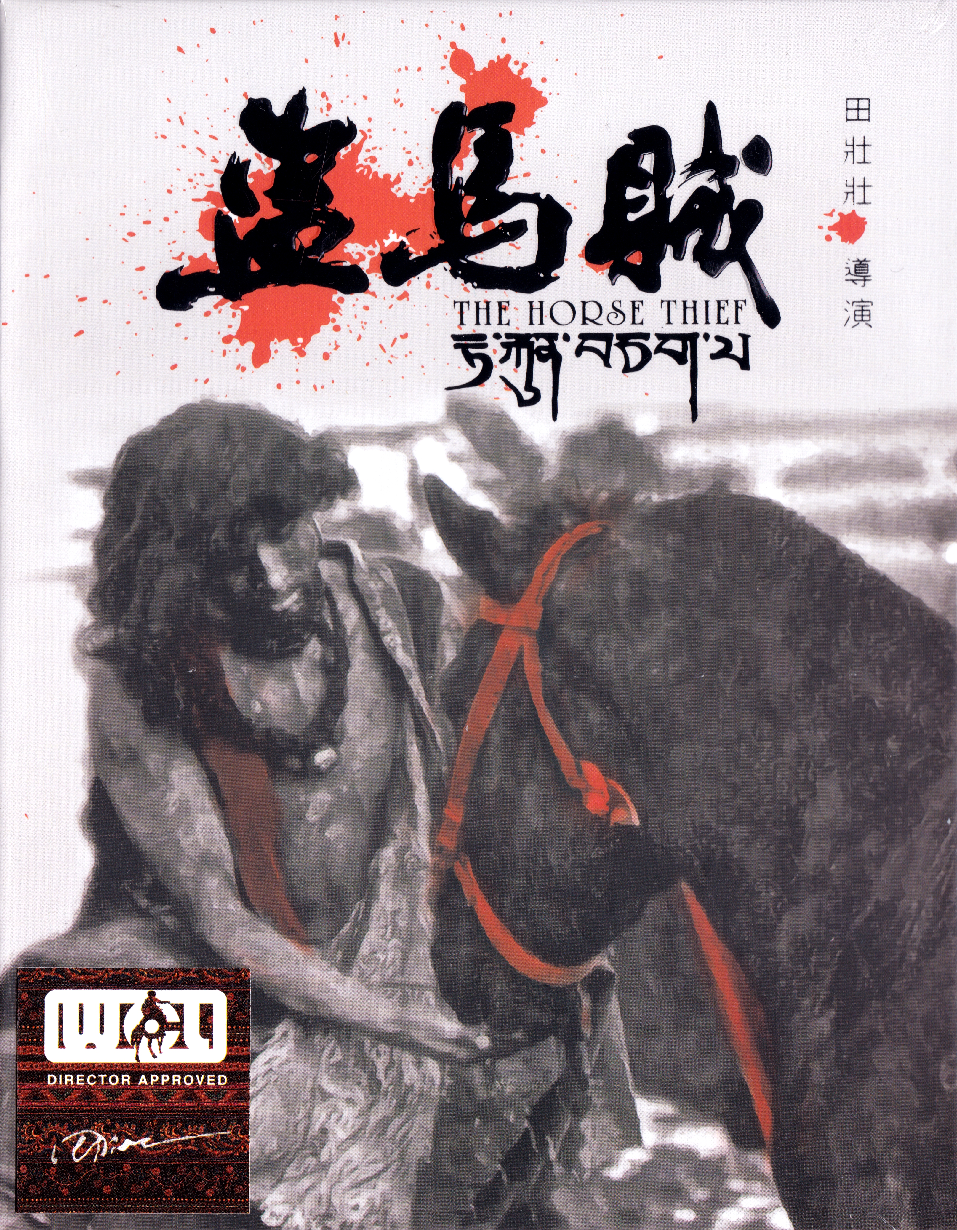 盗马贼的海报-其他海报 中国大陆
