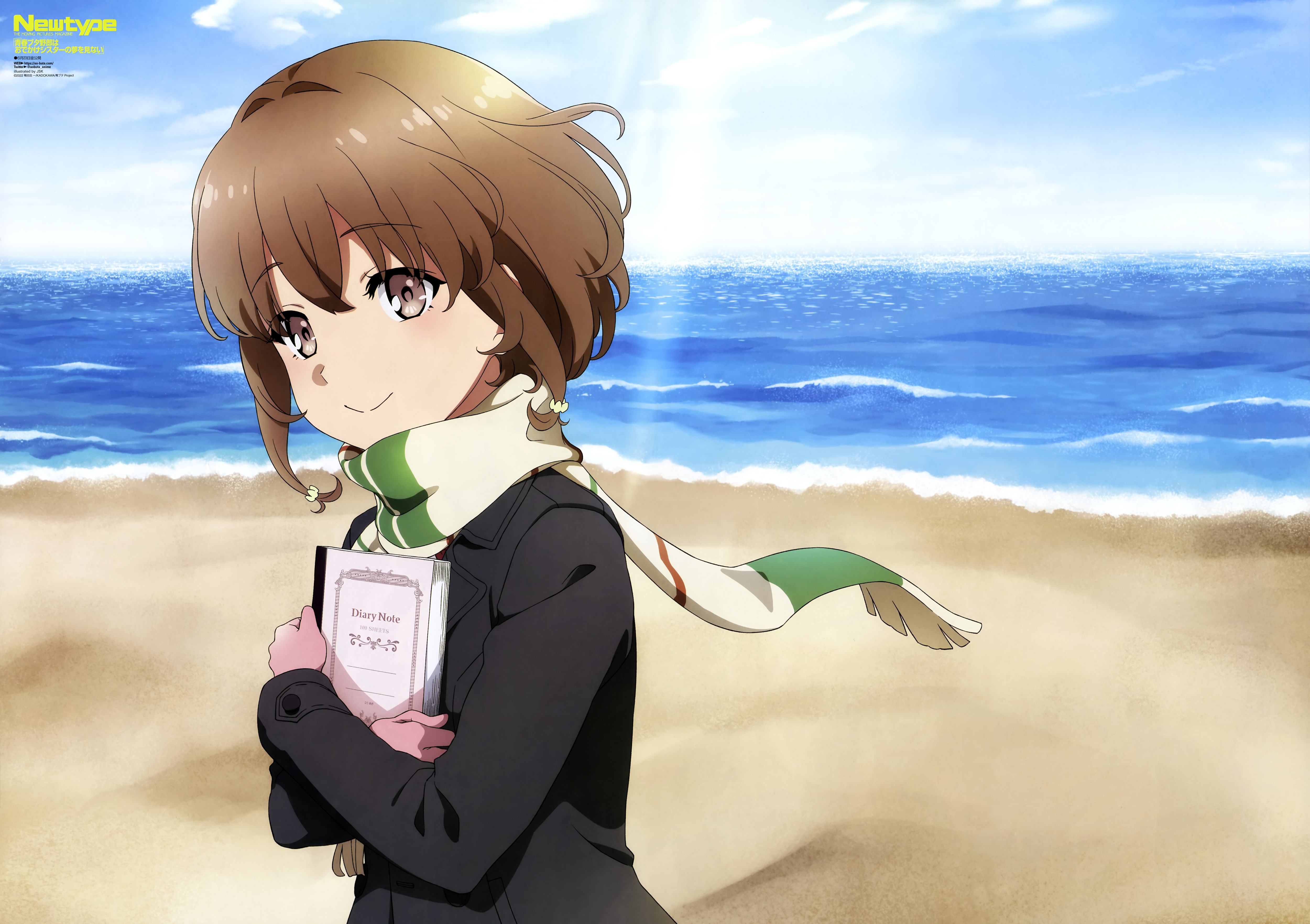 青春期猪头少年不会梦到娇怜外出妹的海报-其他海报