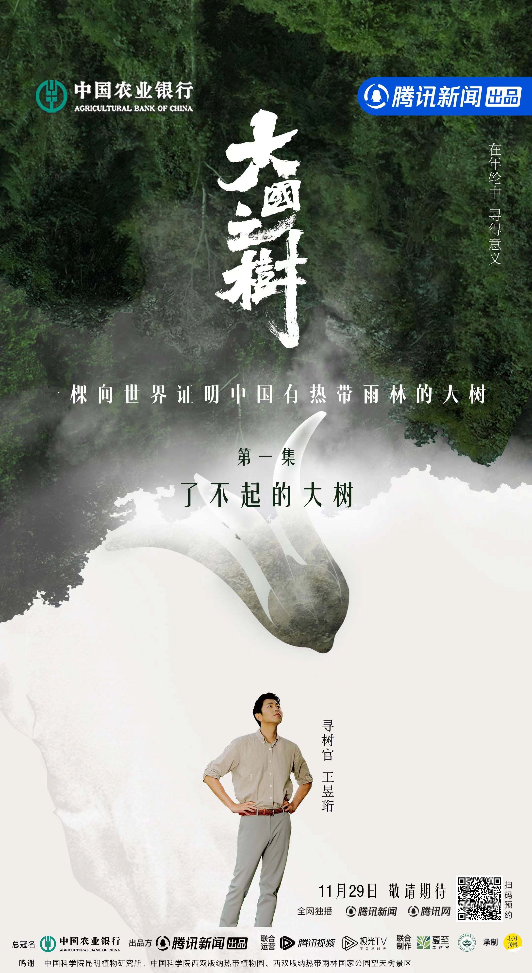 大国之树的海报-正式海报 中国大陆